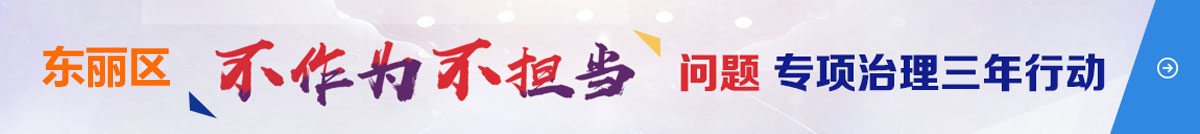东丽区不作为不担当问题专项治理三年行动