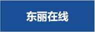 东丽在线