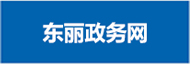 东丽政务网